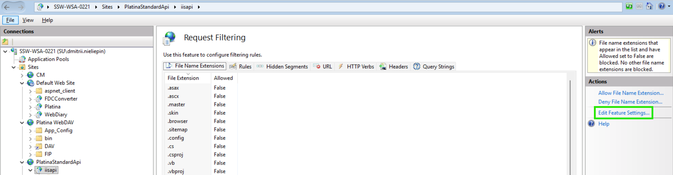 IIS Request Filtering Feature Settings